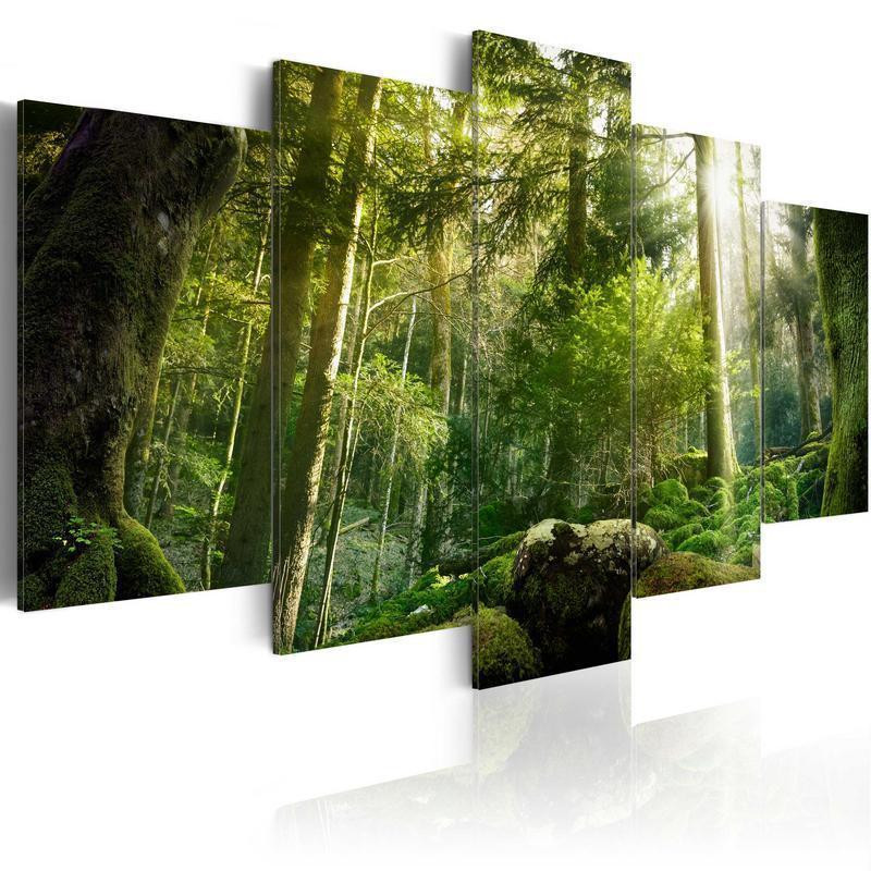 70,90 € Canvas Print - The Beauty of the Forest