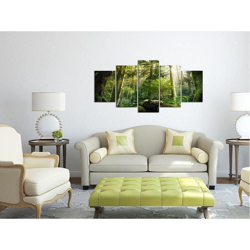 70,90 €Quadro - The Beauty of the Forest