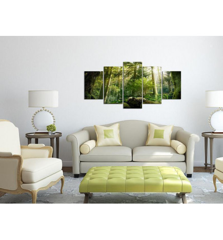 Canvas Print - The Beauty of the Forest