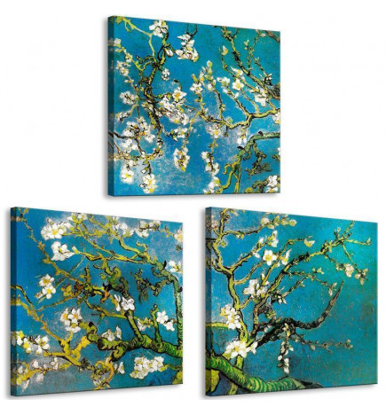 Schilderij - Blooming Almond (3 Parts)