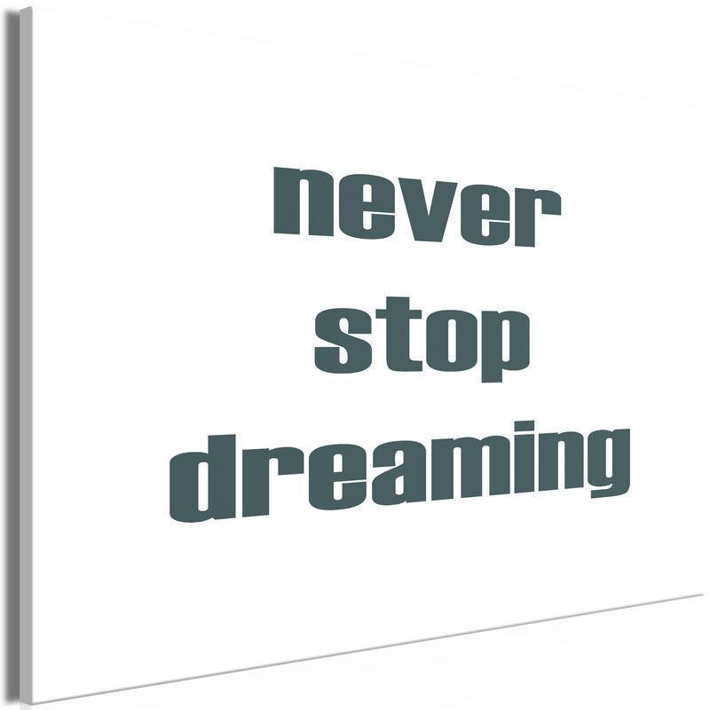 31,90 € Seinapilt - Never Stop Dreaming (1 Part) Wide