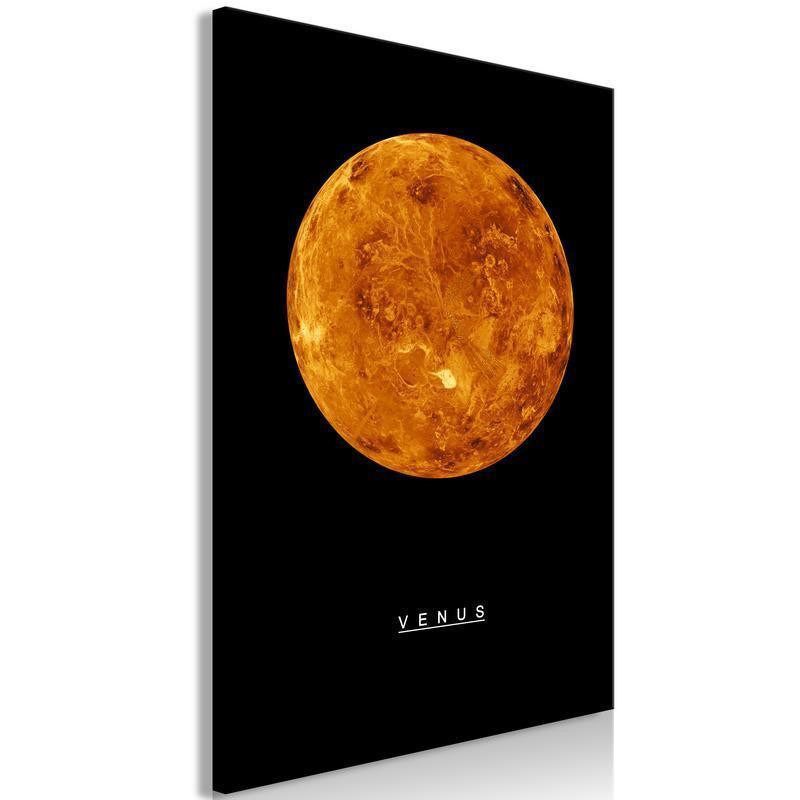 61,90 € Seinapilt - Venus (1 Part) Vertical