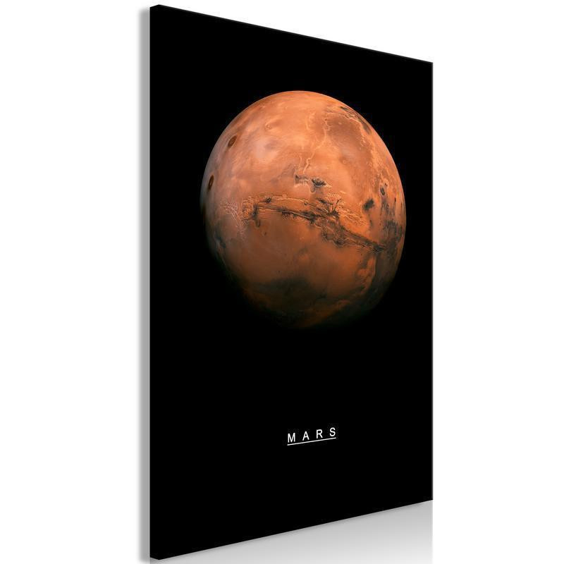 61,90 € Canvas Print - Mars (1 Part) Vertical