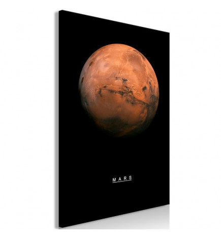 Tablou - Mars (1 Part) Vertical