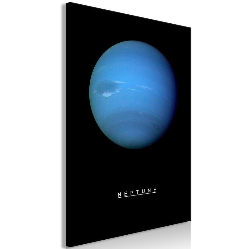 61,90 € Tablou - Neptune (1 Part) Vertical