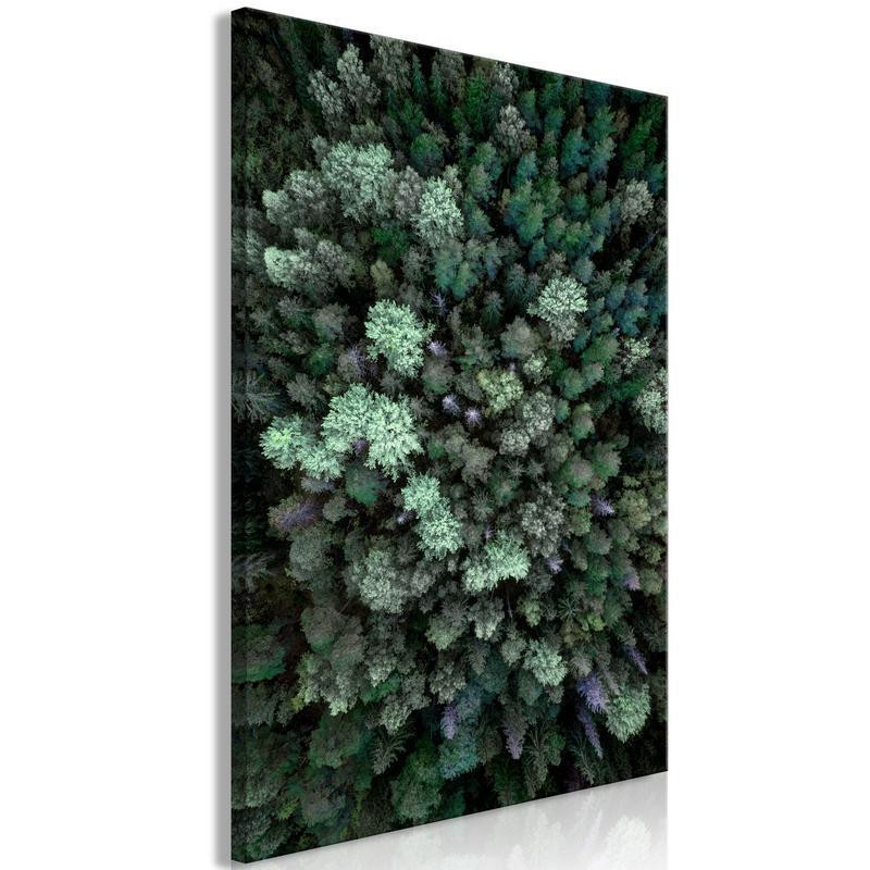 61,90 € Canvas Print - Flying Over Forest (1 Part) Vertical
