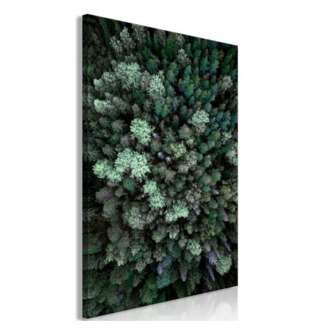 61,90 € Taulu - Flying Over Forest (1 Part) Vertical