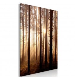 31,90 € Schilderij - Forest Paths (1 Part) Vertical