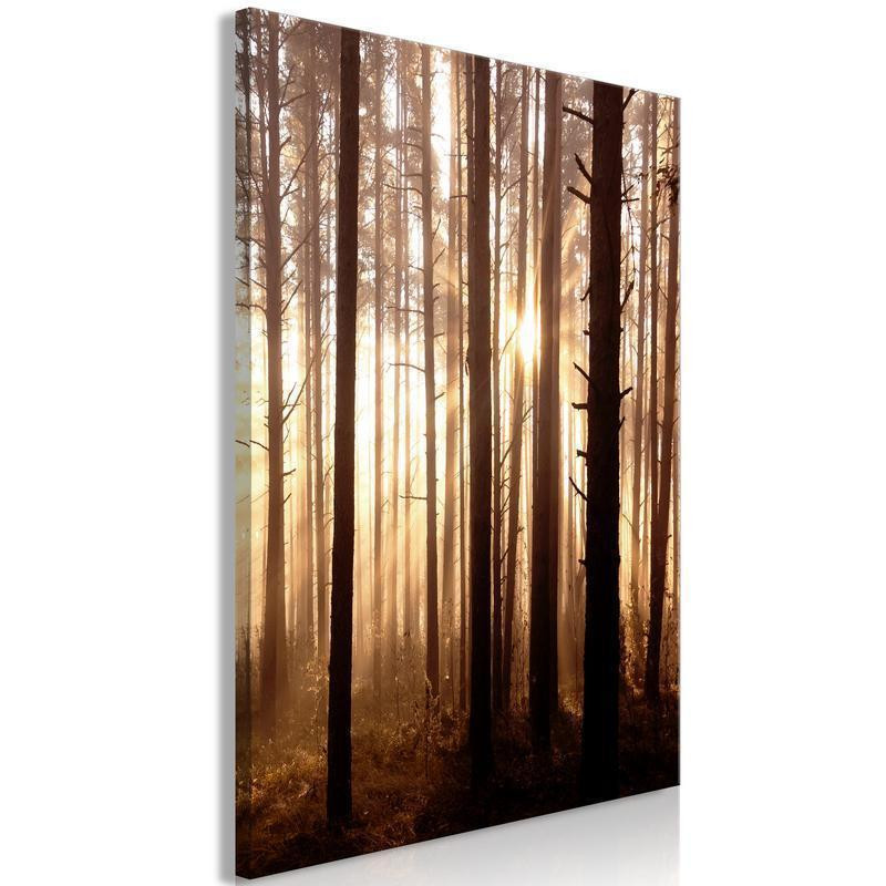 31,90 € Canvas Print - Forest Paths (1 Part) Vertical
