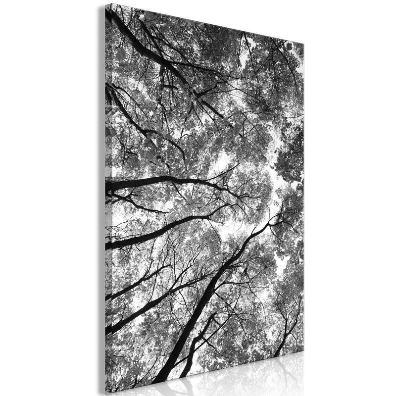 61,90 € Canvas Print - High Trees (1 Part) Vertical
