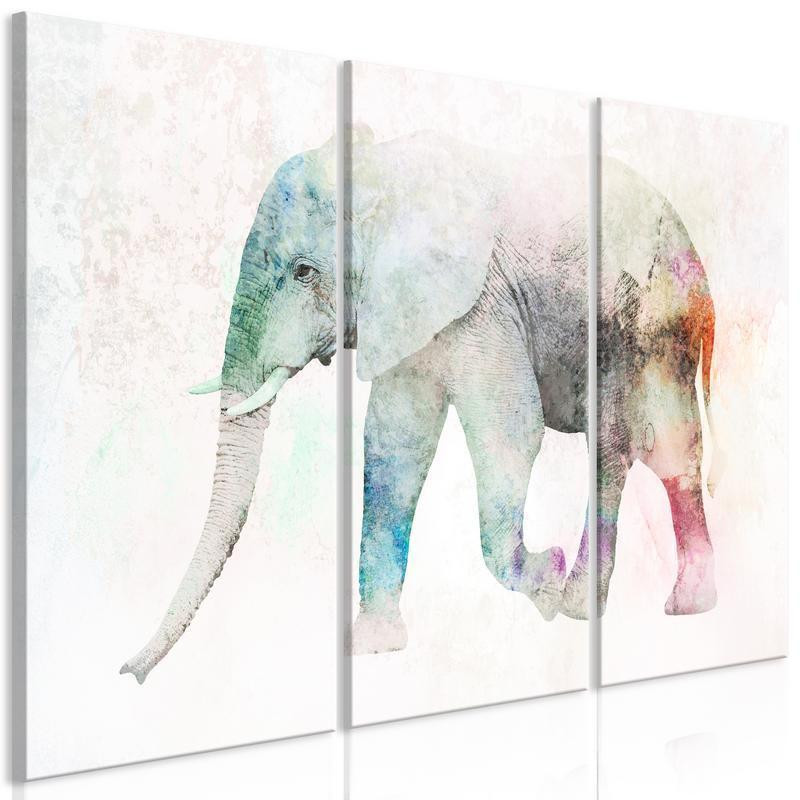 70,90 € Leinwandbild - Painted Elephant (3 Parts)