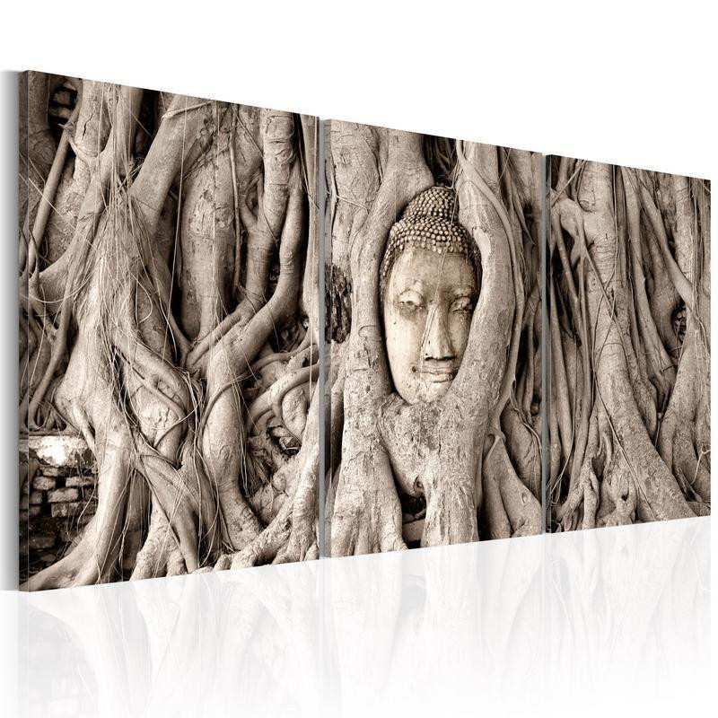 61,90 € Leinwandbild - Meditations Tree