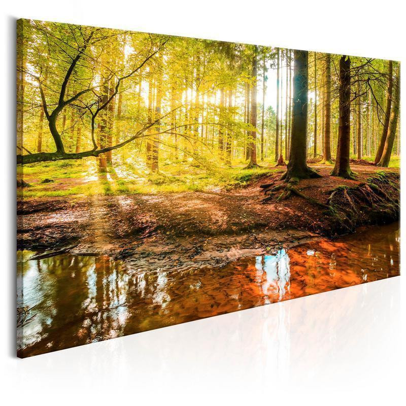 61,90 € Canvas Print - Autumnal Reverie