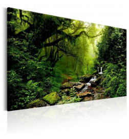 31,90 €Quadro - Waterfall in the Forest