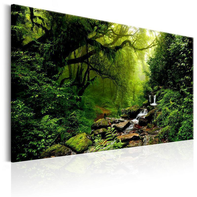31,90 € Schilderij - Waterfall in the Forest