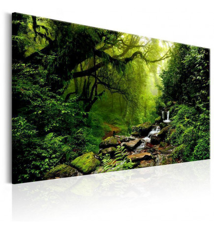 31,90 € Canvas Print - Waterfall in the Forest