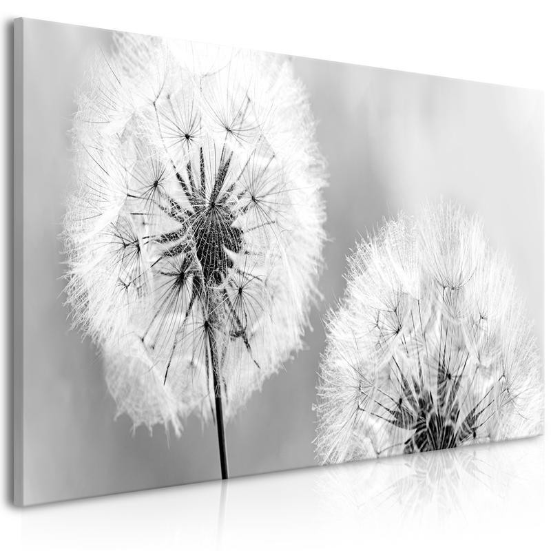 70,90 € Canvas Print - Fluffy Dandelions (1 Part) Grey Wide
