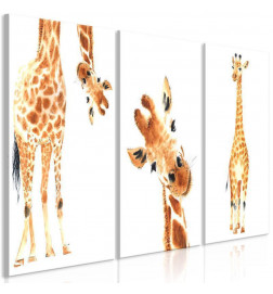 61,90 € Canvas Print - Funny Giraffes (3 Parts)