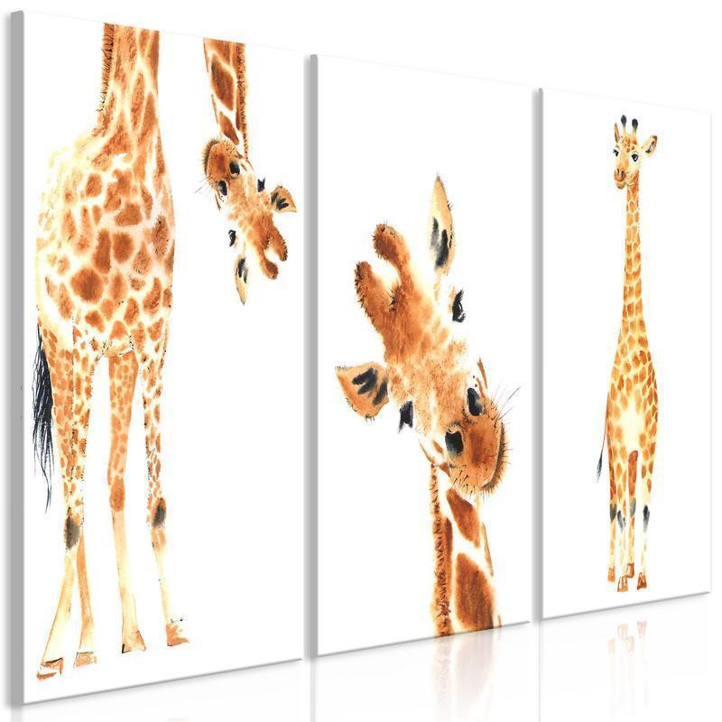 61,90 € Canvas Print - Funny Giraffes (3 Parts)