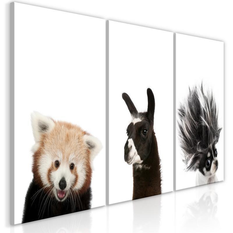 61,90 € Schilderij - Friendly Animals (Collection)