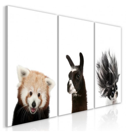 Schilderij - Friendly Animals (Collection)