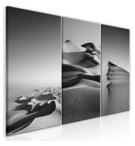 61,90 € Canvas Print - Desert Landscape (Collection)