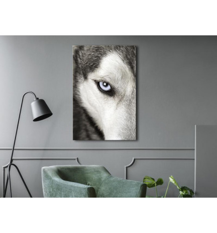 61,90 € Slika - Dogs Look (1 Part) Vertical