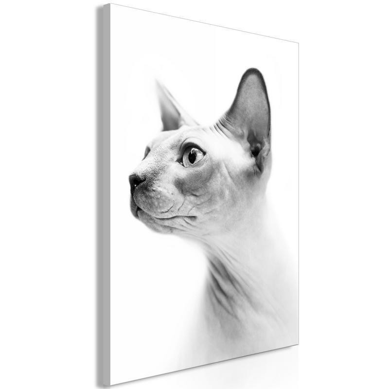 61,90 € Leinwandbild - Hairless Cat (1 Part) Vertical
