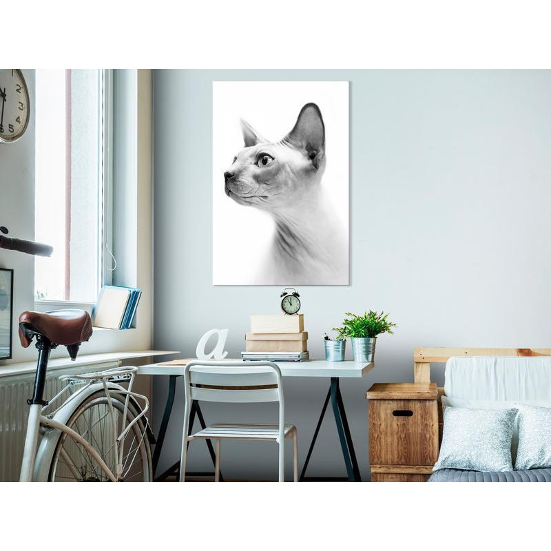 61,90 € Canvas Print - Hairless Cat (1 Part) Vertical