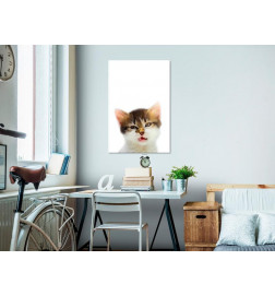 61,90 € Schilderij - Cat Style (1-part) - Domestic Animal with a Touch of Wildness in Focus