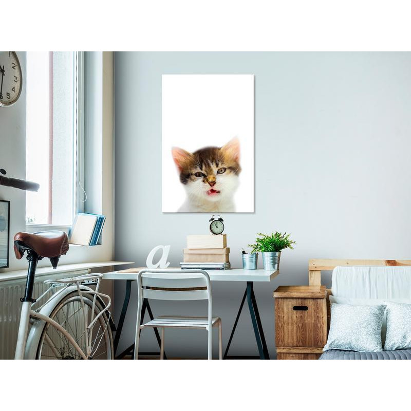 61,90 €Tableau - Cat Style (1-part) - Domestic Animal with a Touch of Wildness in Focus