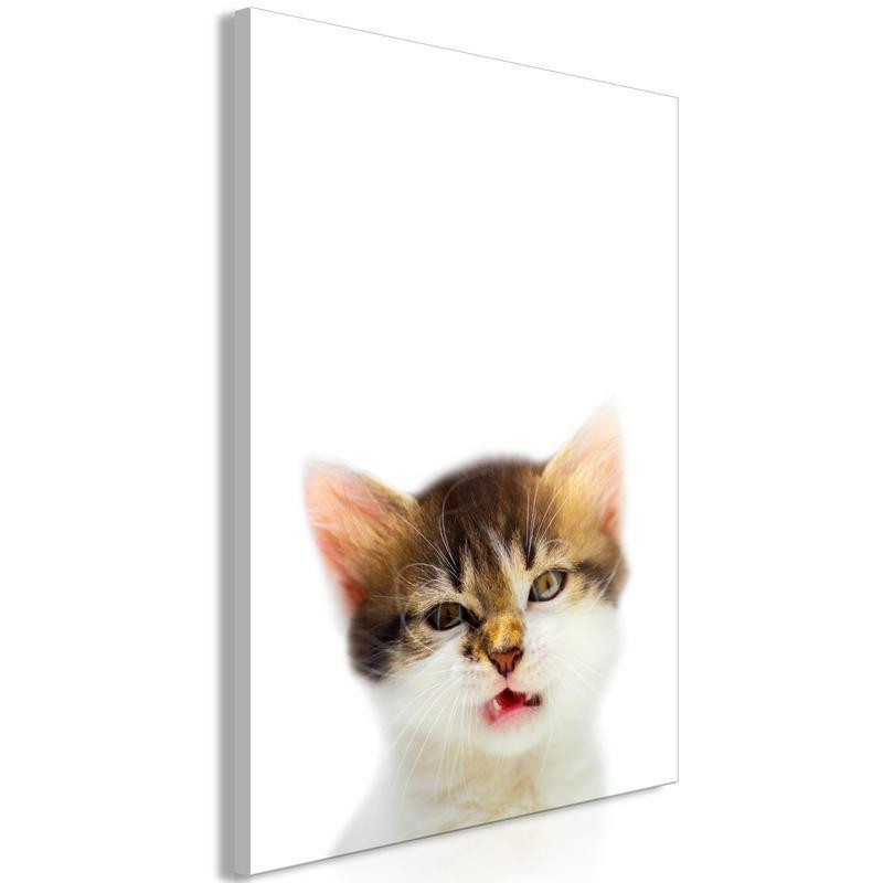 61,90 € Tablou - Cat Style (1-part) - Domestic Animal with a Touch of Wildness in Focus