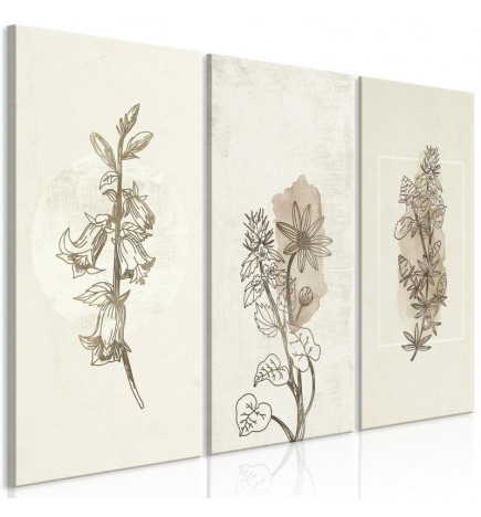 Schilderij - Herbarium (3 Parts)