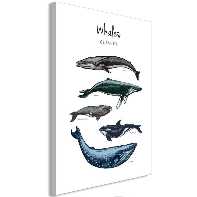 31,90 € Canvas Print - Whales (1 Part) Vertical