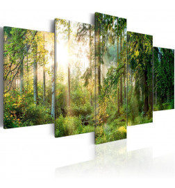 127,00 € Akrilo stiklo paveikslas - Green Sanctuary