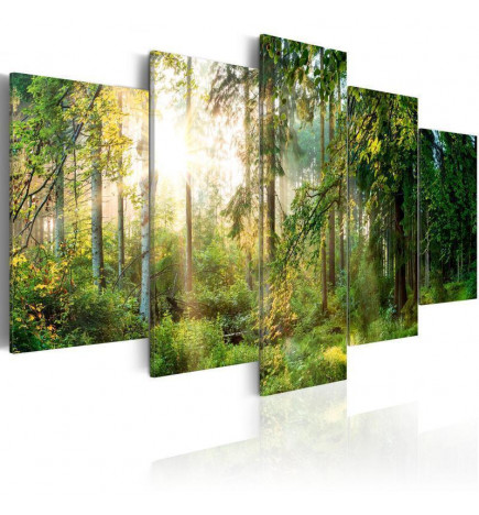 127,00 € Afbeelding op acrylglas - Green Sanctuary