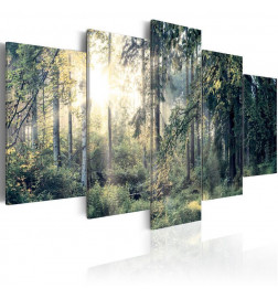 127,00 € Afbeelding op acrylglas - Fairytale Landscape