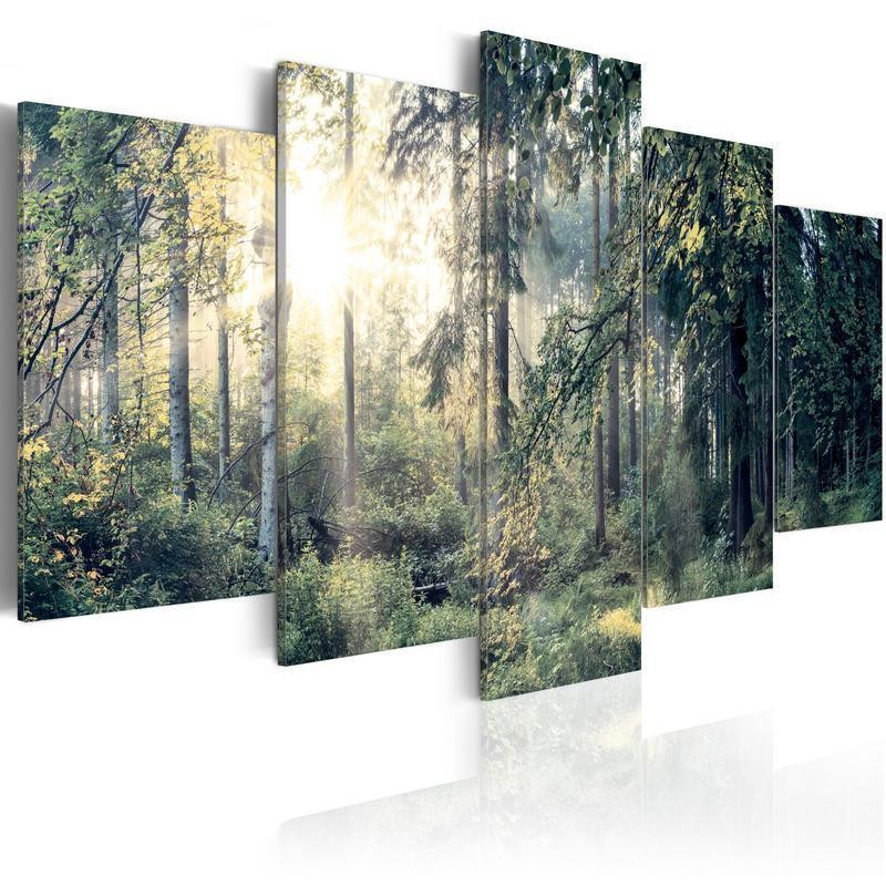 127,00 € Afbeelding op acrylglas - Fairytale Landscape