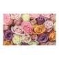 Fotomurale con le rose colorate - cm. 450x270 - arredalacasa