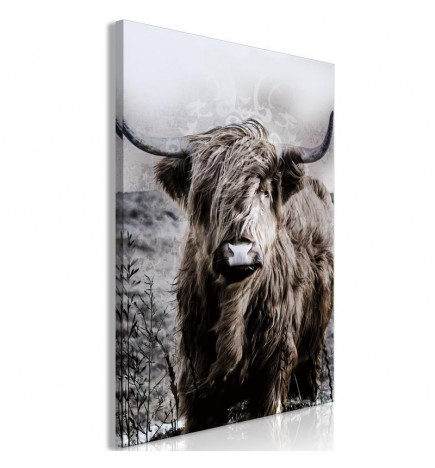 Canvas Print - Highland Cow in Sepia