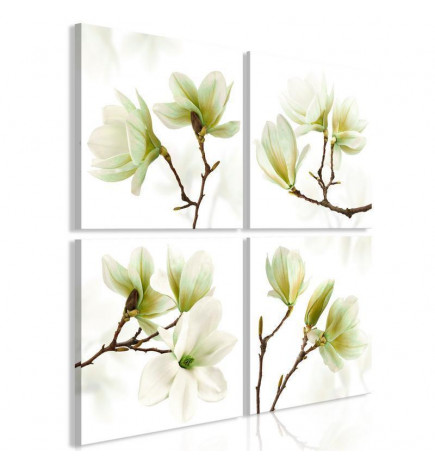 Schilderij - Admiration of Magnolia