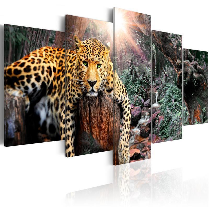 70,90 € Schilderij - Leopard Relaxation