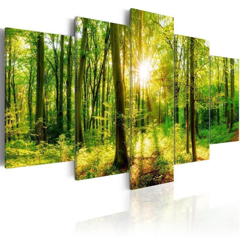 70,90 € Canvas Print - Forest Tale
