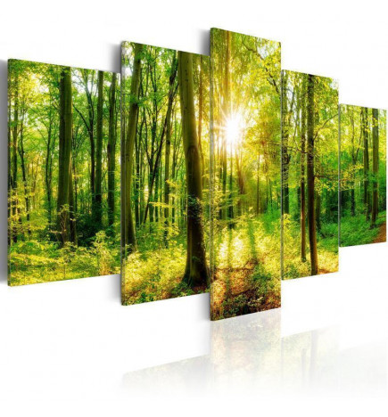 70,90 €Quadro - Forest Tale