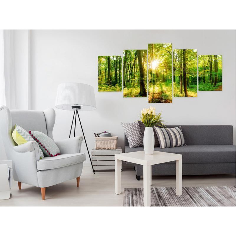 70,90 €Quadro - Forest Tale