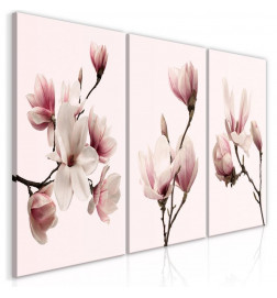 61,90 € Canvas Print - Spring Magnolias (3 Parts)