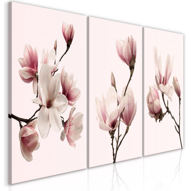 61,90 € Cuadro - Spring Magnolias (3 Parts)