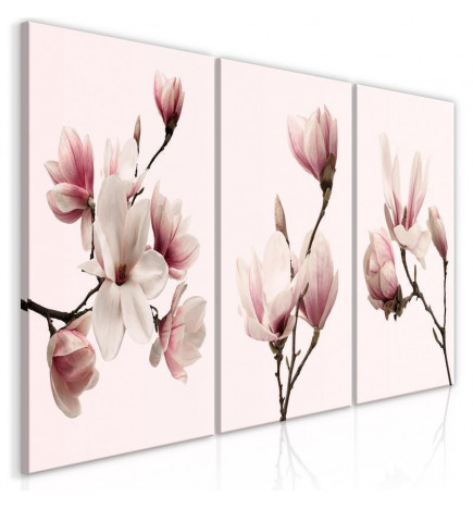 Quadro - Spring Magnolias (3 Parts)