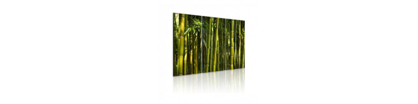 luonto: bambu
