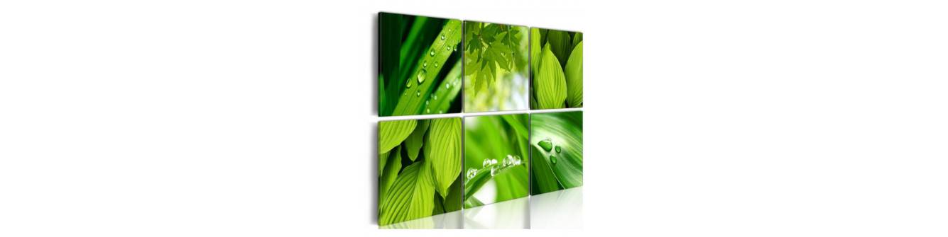 lehtede ja roheliste taimede collage